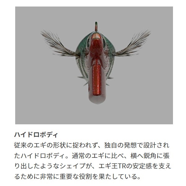 エギ王ＴＲ３．５